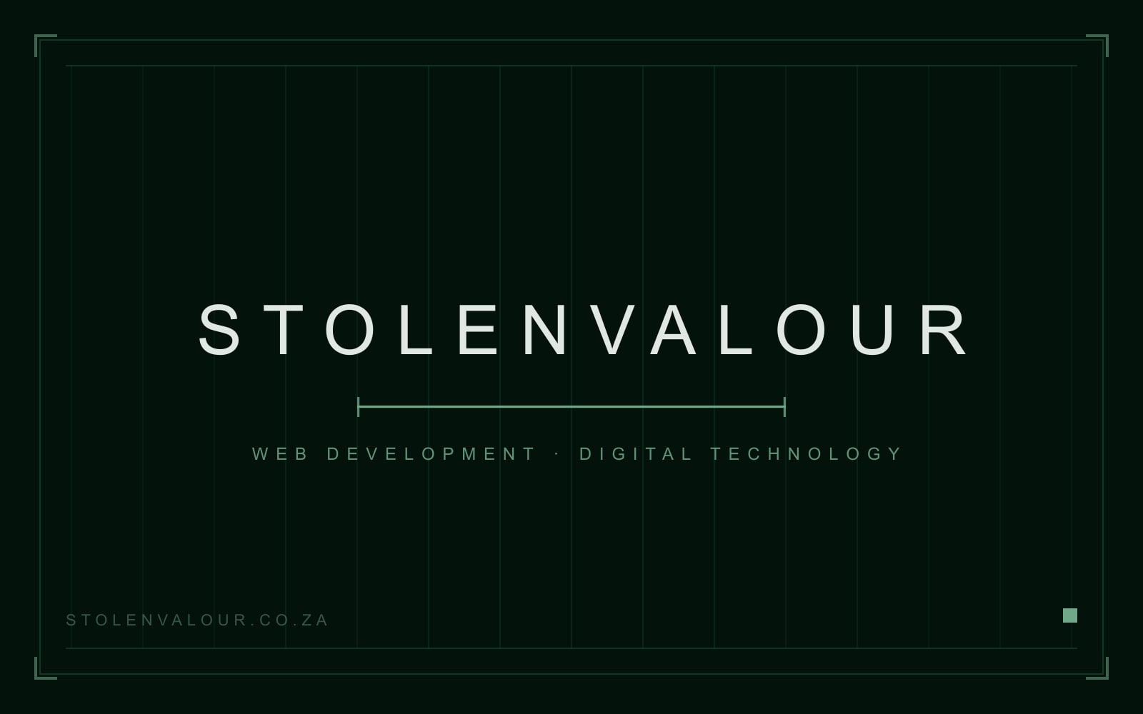 StolenValour — Web Development Studio